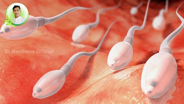 How to Get Pregnant Fastly | Fertile Days for Quick Pregnancy | Ovulation | Dr.Manthena's Health Ti смотреть онлайн