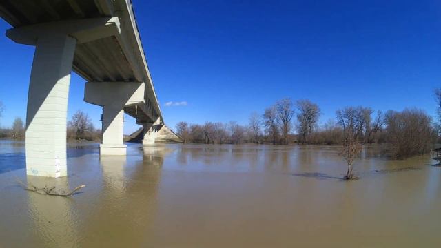 река Кубань 2022 уровень воды смотреть онлайн