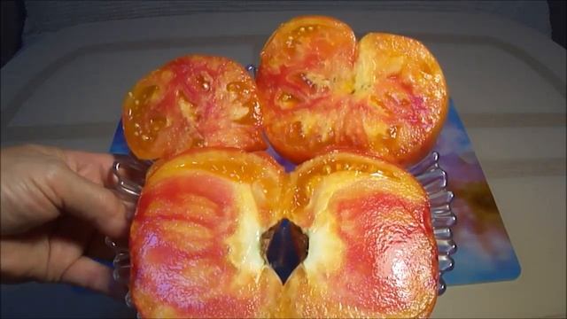 Томаты Цитрусовый сад, Загадка природы и Огурец Колибри! смотреть онлайн