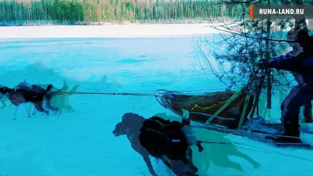 ХАСКИ-ТУР. Туры на собачьих упряжках и снегоходах по Карелии. Активный туризм от Руна-Лэнд. смотреть онлайн