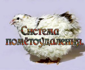 Система помётоудаления на перепелиной ферме.