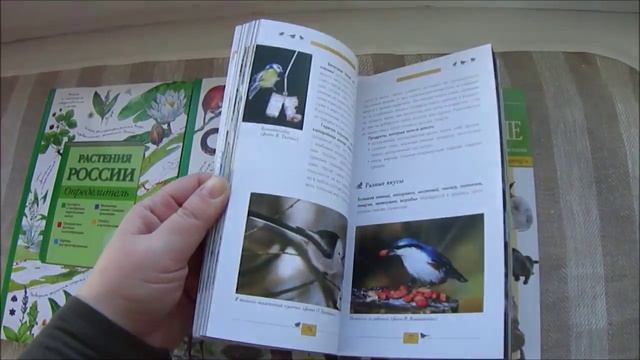 Книжные покупки, зима 2015-16. Часть 2 смотреть онлайн