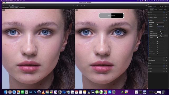 Portrait Pro 23 Quick And Easy Portrait Edits ?