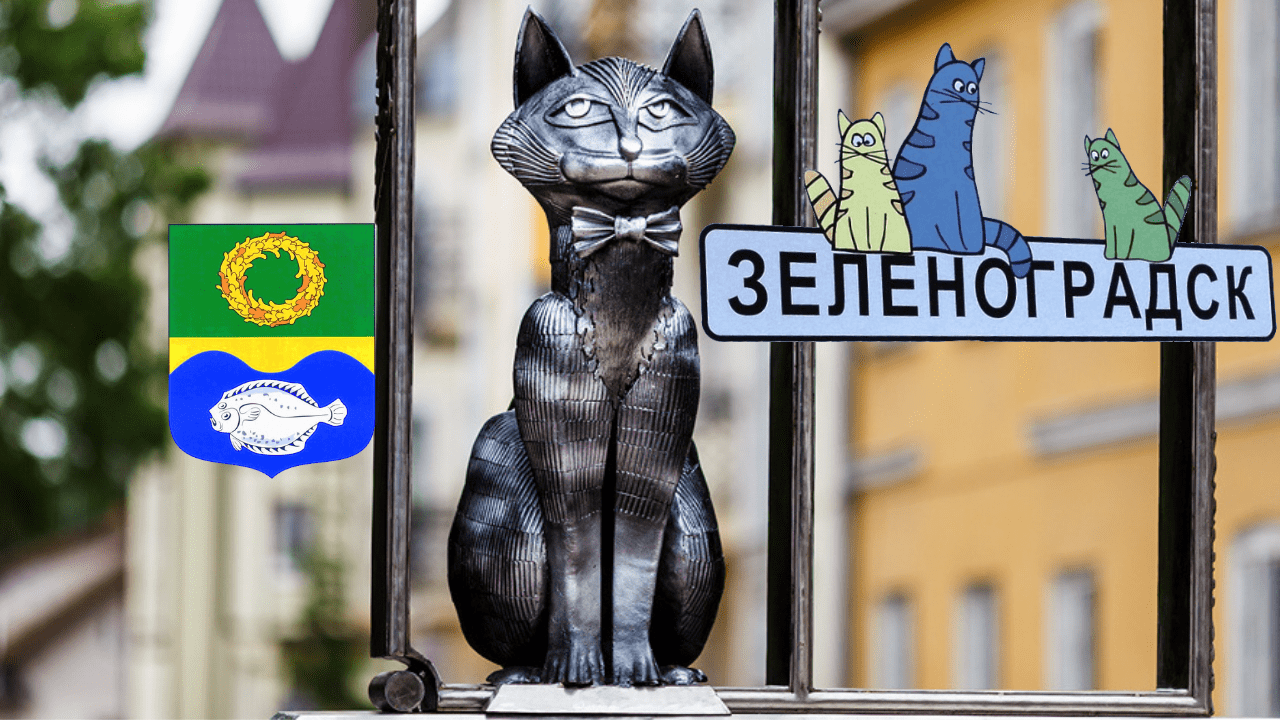 Зеленоградск/Куршская коса/обзор за 1 день/пляжи/все достопримечательности города кошек пешком/2022 смотреть онлайн