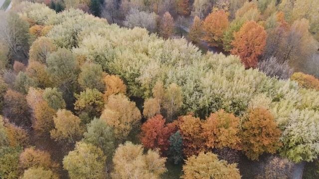 В ливень вдовец спас из свежей могилы красавицу. А заглянув под платье, понял, что действовать... смотреть онлайн