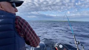 Троллинг судака. Кварцитный. Онежское озеро. Дирижёры