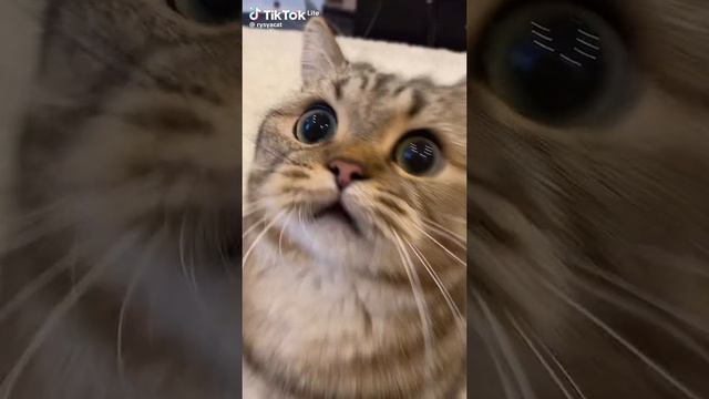 82cc5160356a5b761d3f8c0da367c737.mp4 смотреть онлайн