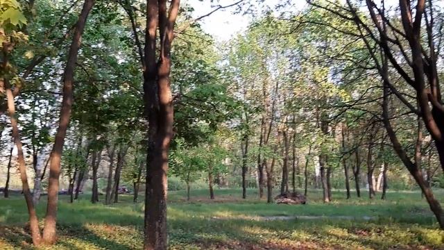 Звезда Давида - это есть печать Любви Моей. смотреть онлайн