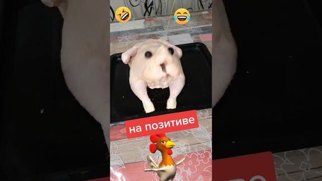 на позитиве