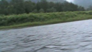 ИСПЫТАНИЕ НОВОЙ ЛОДКИ БОЛОТОХОД 20 Л.С ДЛИННАЯ НОГА ПРОТИВ КОРОТКОЙ 15 Л.С