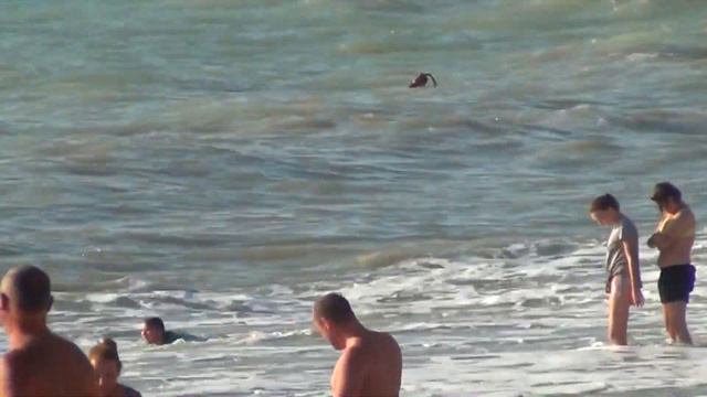 В таком море лучше не плавать!/ Бархатный сезон в Лазаревском. смотреть онлайн