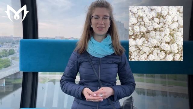ЕЖЕНЕДЕЛЬНЫЕ НОВОСТИ: тенденции цветочного рынка смотреть онлайн