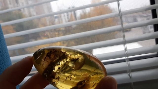 Янтарь! - Инклюзив в янтаре!