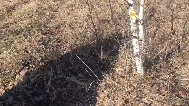 Лопата SWAT в работе 2 смотреть онлайн