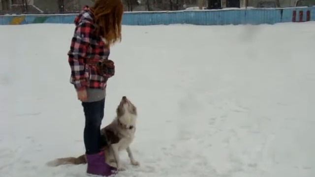 Семинар с Варварой Большаковой Красноярск 2013 (13) смотреть онлайн