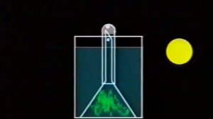 № 9 Фотосинтез Лабораторные эксперименты
