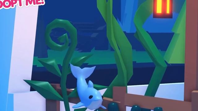 nuevo delfin confirmado adopt me roblox смотреть онлайн