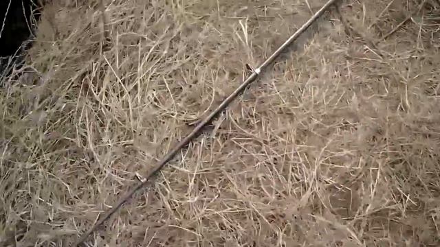 Дочь ловит рыбу смотреть онлайн