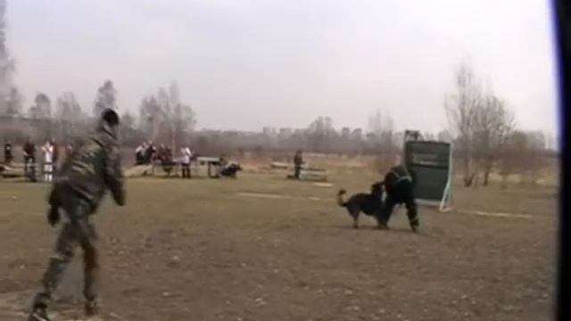 РР Титус смотреть онлайн