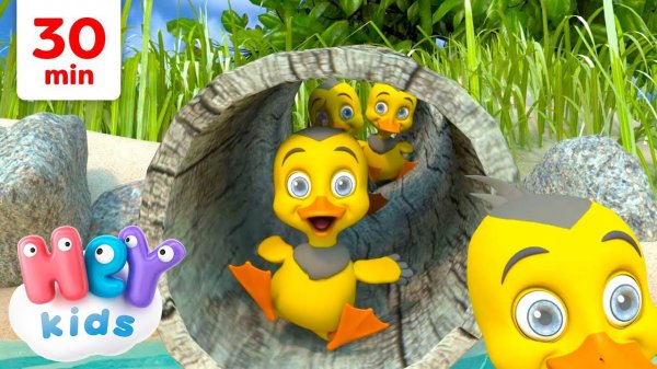 Cinq Petits Canards Coin coin ! | Chansons pour Enfants | HeyKids en Français