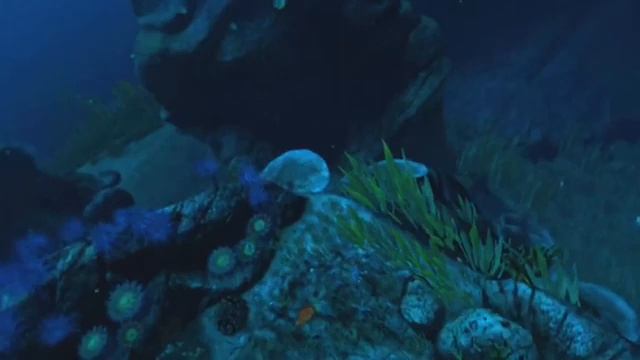 Virtual Reality - 360°Jellyfish Whales & Turtles Dive - Part 1 | Oculus Quest 2 смотреть онлайн