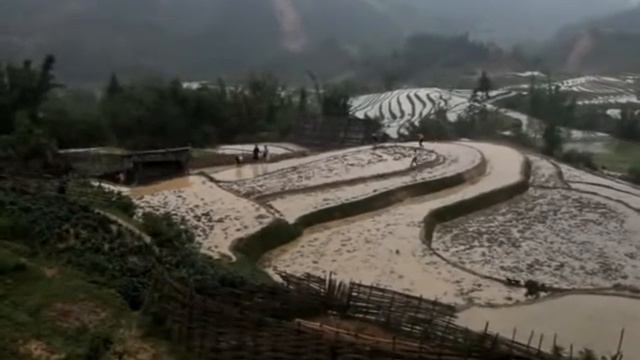 Северный Вьетнам. Террасы смотреть онлайн