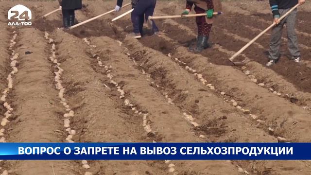 Кыргызстан хочет продлить запрет на вывоз сельхозпродукции из-за засухи смотреть онлайн