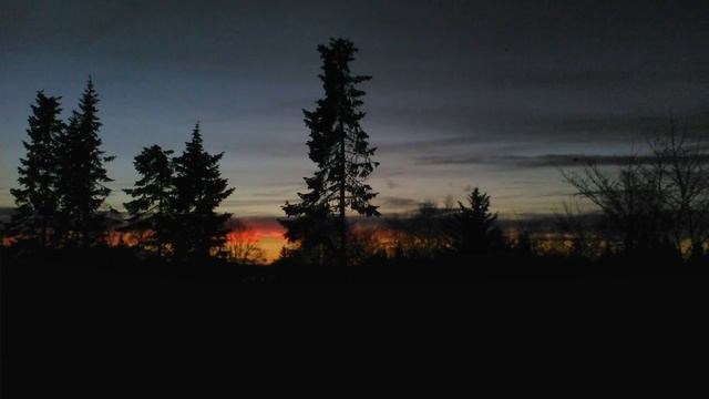 Мои фотографии/ Новый Год ? смотреть онлайн