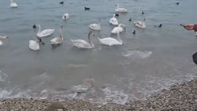 Коктебель февраль 2012. смотреть онлайн
