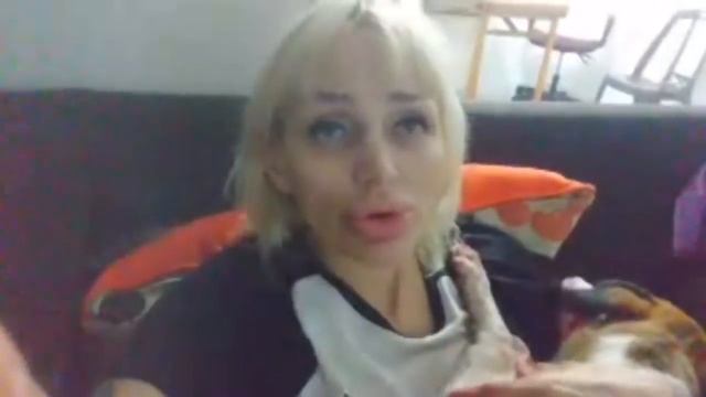У ГРОМЫ Порезана Вена на лапе. Пробуем Остановить Кровь смотреть онлайн