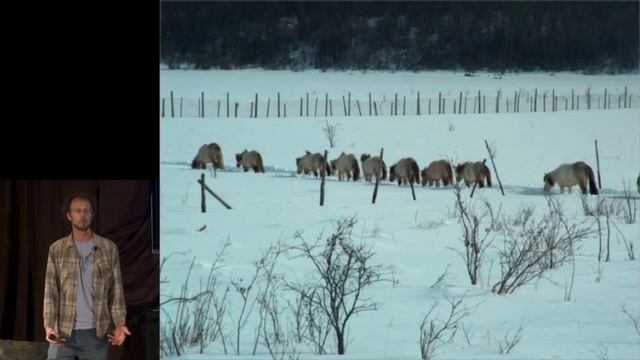 Can woolly mammoths save the world?: Luke Griswold-Tergis at TEDxConstitutionDrive смотреть онлайн