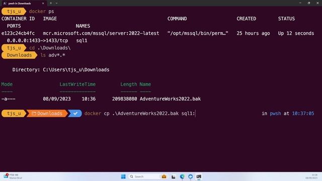 Adding a File to Docker Container and Restore a Database in SQL Server Management Studio смотреть онлайн