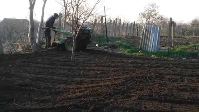 Мотоблок ЗУБР. Вспашка огорода смотреть онлайн