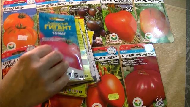 Как выбрать сорта и где купить семена томатов
