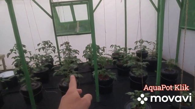 ?️Пять правил Гидропоники и ты Гровер смотреть онлайн