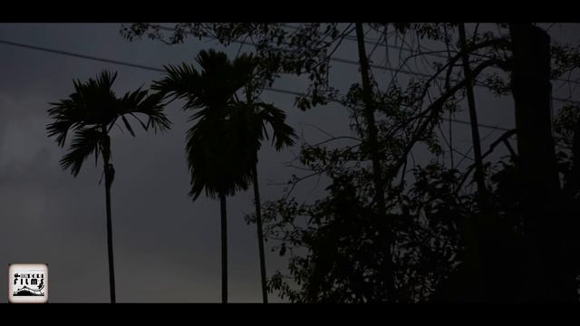 Nikon D5200 with AF-S 50mm f/1.8G prime lens sample video | low light | rainy day | BikZpori films смотреть онлайн