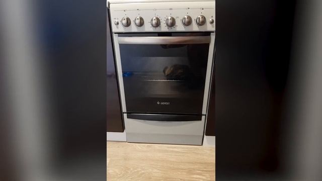 Кухонная плита GEFEST ПГ 5100-02 0068 смотреть онлайн