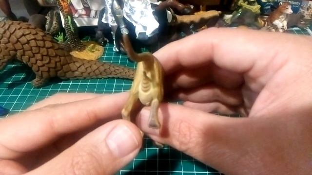 Collecta Thylacine - тилацин (сумчатый волк) смотреть онлайн
