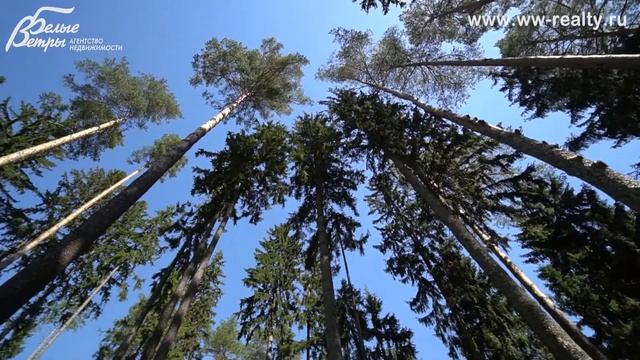 Экспертное мнение о доме в стиле фахверк на участке с соснами в Милорадово| Калужское шоссе 11 км смотреть онлайн