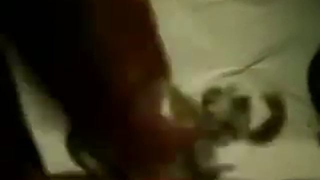 мой бакуган 4 сезона