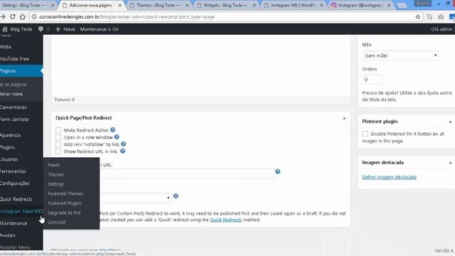Instalando o Melhor Plugin de Instagram para Wordpress смотреть онлайн