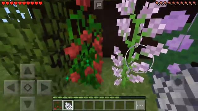 Как дюпать в Майнкрафте?🔥Пухля спрашивает смотреть онлайн