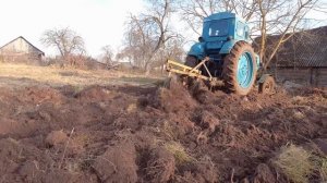 Вспашка целины на советском тракторе Т-40 без передка