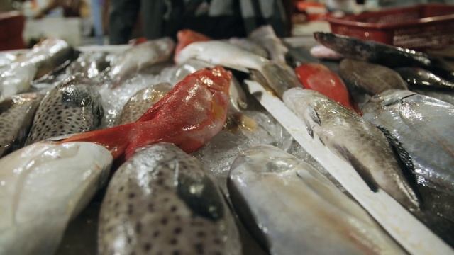 TOP 10 PLACES TO VISIT IN AUSTRIA смотреть онлайн