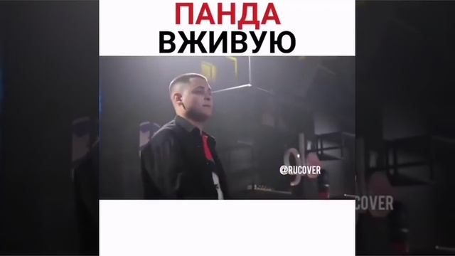 ПАНДА - CYGO ВЖИВУЮ