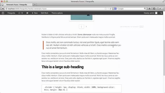 Fotografia, a clean and classy Premium WordPress theme for artists and photographers смотреть онлайн