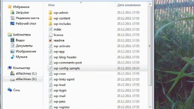 Установка WordPress на Denwer смотреть онлайн