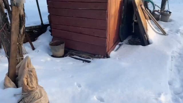 Шиндяевы: СТРЕЛЯЕМ на ДАЧЕ, ПАРИМСЯ в БАНЕ и готовимся к НОВОМУ ГОДУ. смотреть онлайн