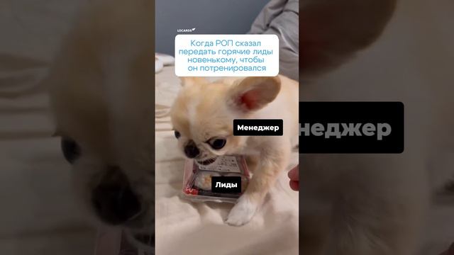 LOCARDS смотреть онлайн