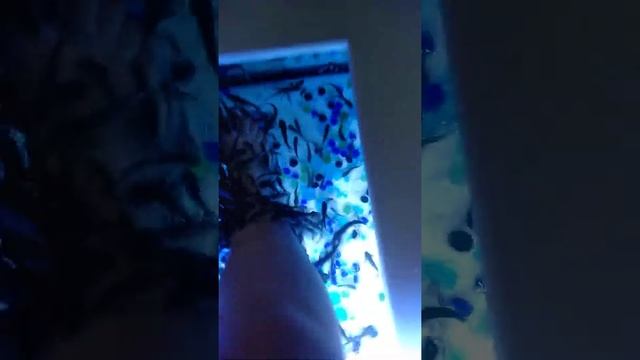 Пилинг ног рыбками Гарра-Руфа Сочи смотреть онлайн